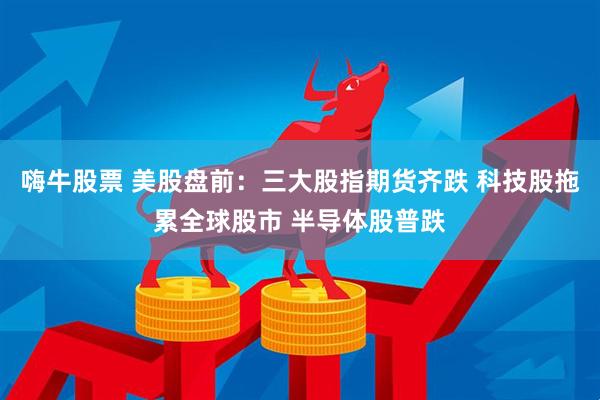 嗨牛股票 美股盘前：三大股指期货齐跌 科技股拖累全球股市 半导体股普跌